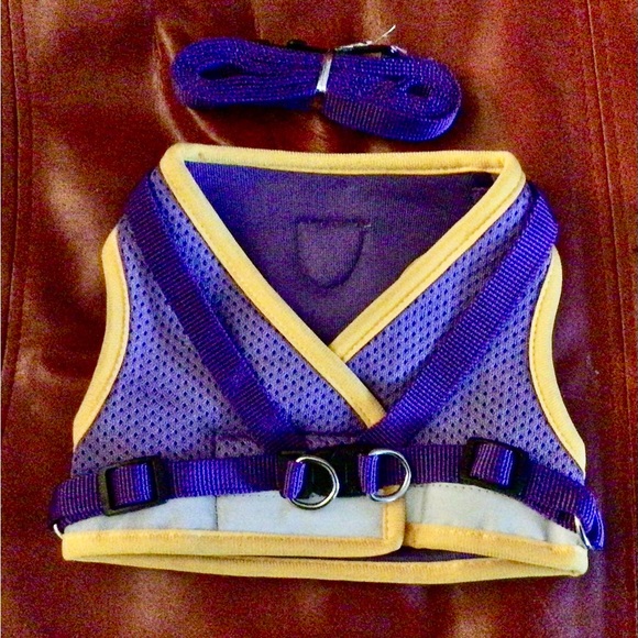 Dogs Harness and leash and dog brush,. new - Picture 12 of 16